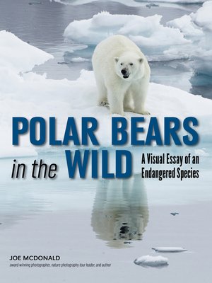 cover image of Polar Bears In the Wild